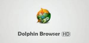 Dolphin 6: navegador web para Android