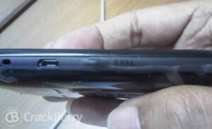 blackberry