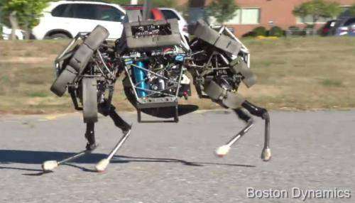 Google Boston Dynamics 2 (500x200)